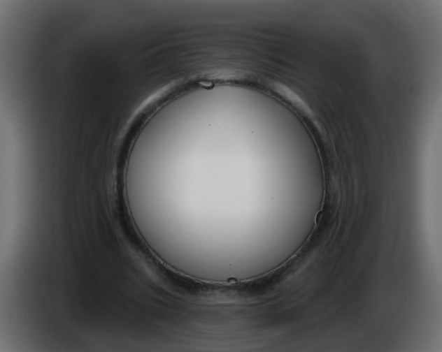 X0000086070535200704132042