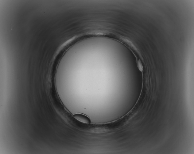 X0000086070536200704132042