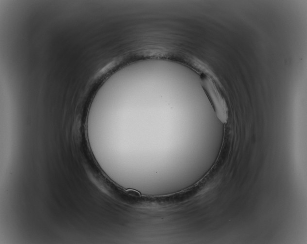 X0000086070538200704132042