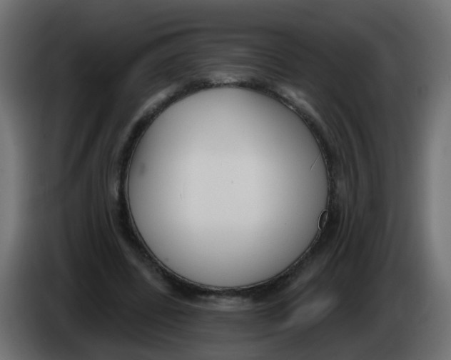 X0000086070539200704132042