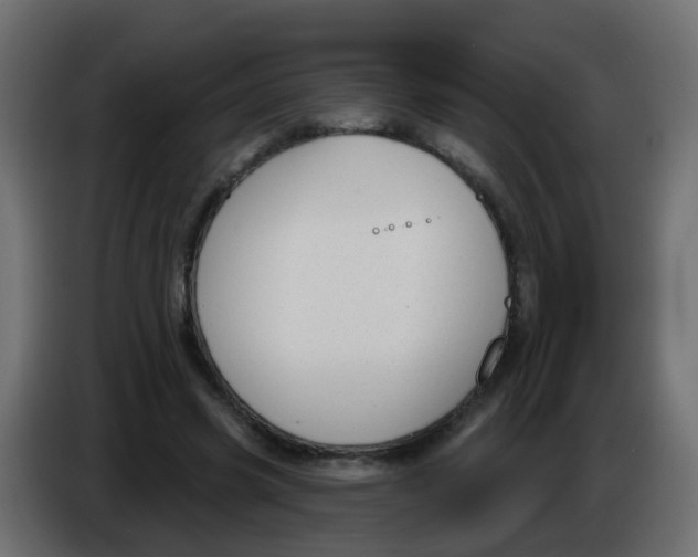 X0000086070541200704132042