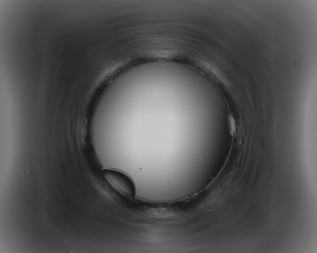 X0000086070544200704132042
