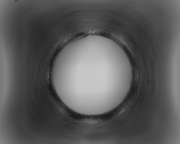 X0000086070545200704132043
