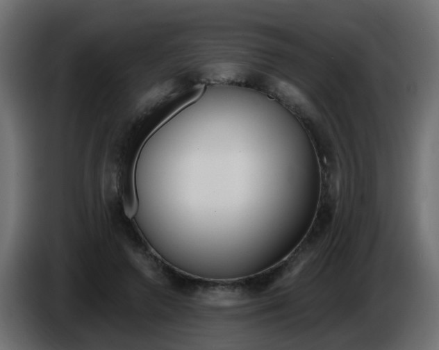 X0000086070546200704132043