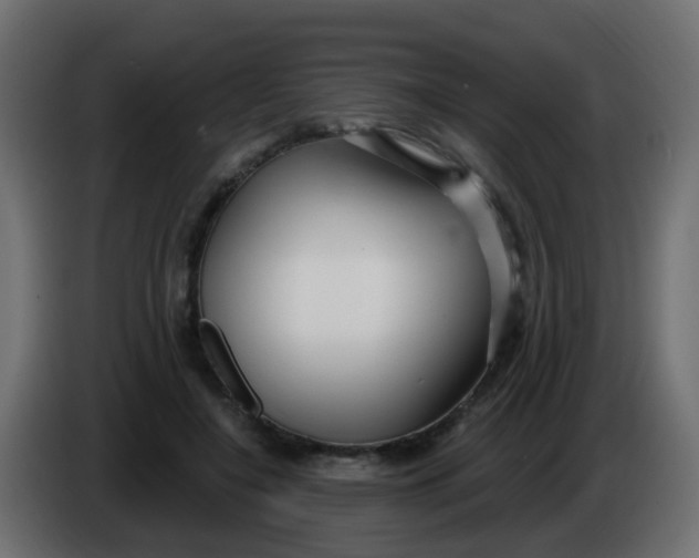 X0000086070548200704132043