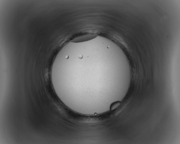 X0000086070549200704132043