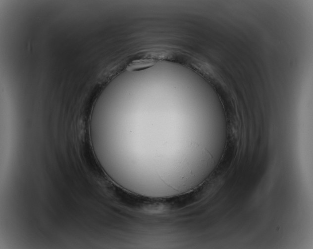 X0000086070551200704132043