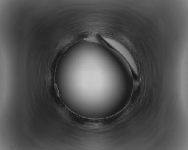 X0000086070552200704132043