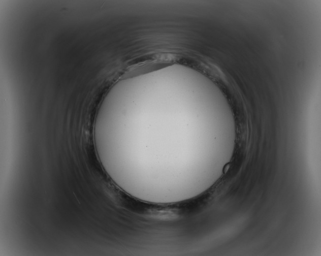 X0000086070553200704132043