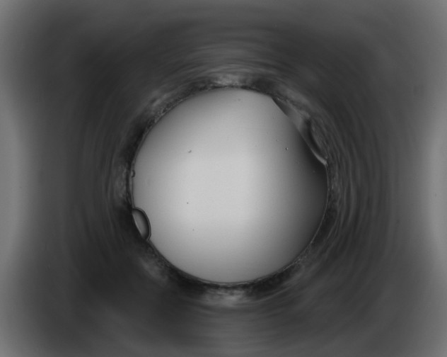 X0000086070554200704132043