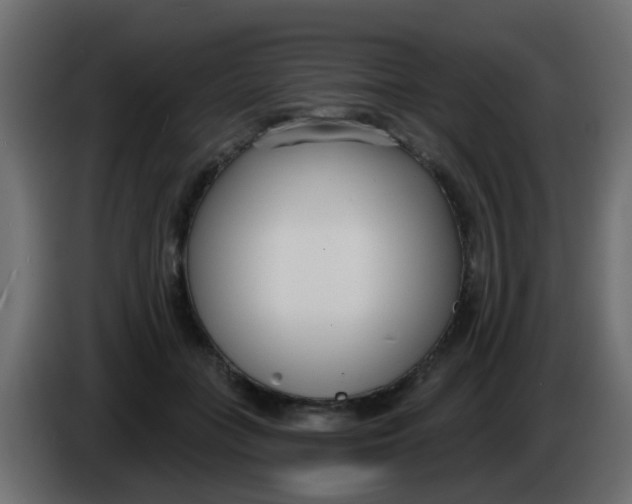 X0000086070555200704132043