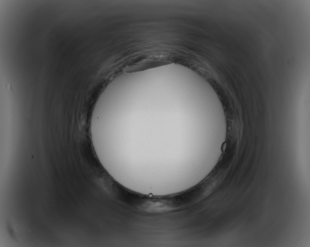 X0000086070557200704132043