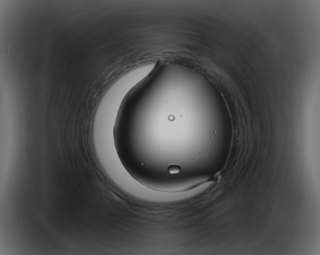X0000086070558200704132043