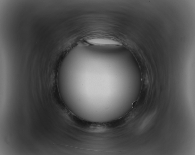 X0000086070559200704132043