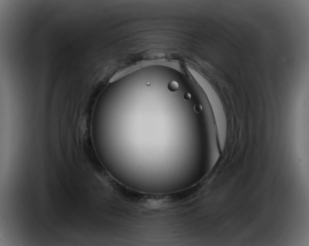 X0000086070560200704132043
