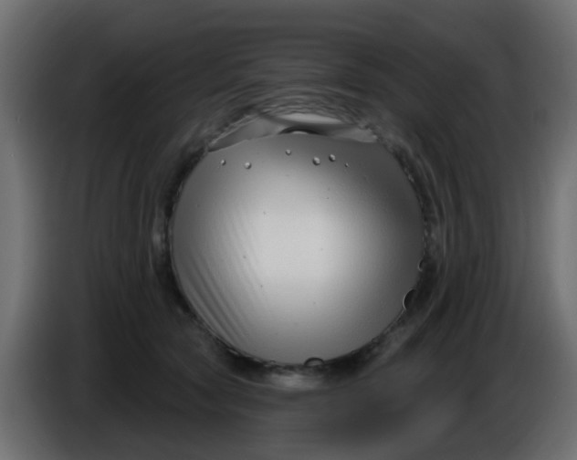 X0000086070561200704132043