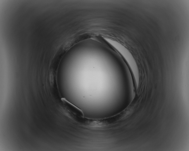 X0000086070562200704132043