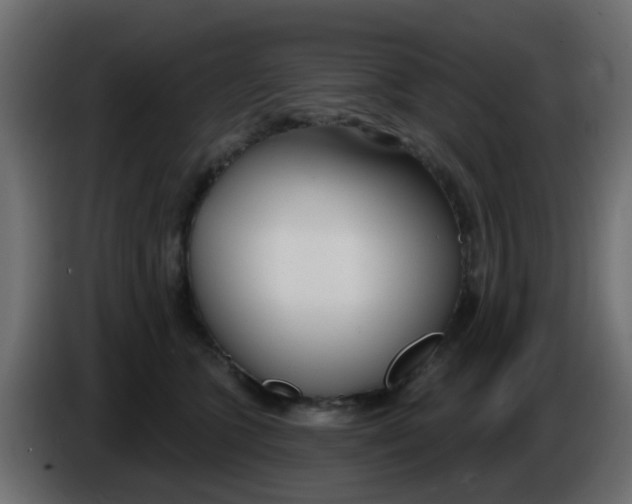 X0000086070563200704132043