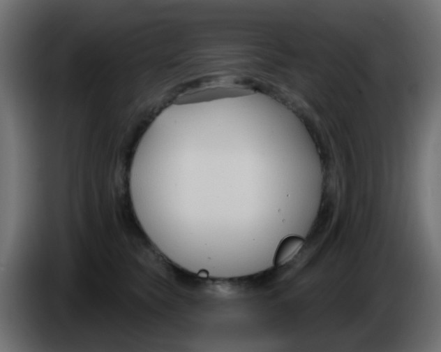X0000086070565200704132043