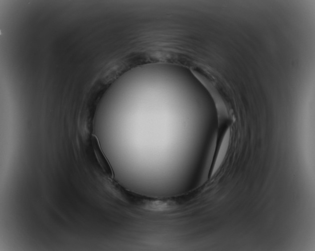 X0000086070566200704132043