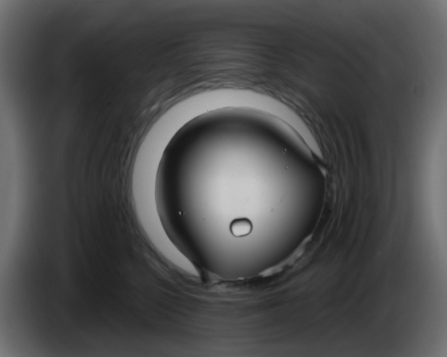 X0000086070568200704132043