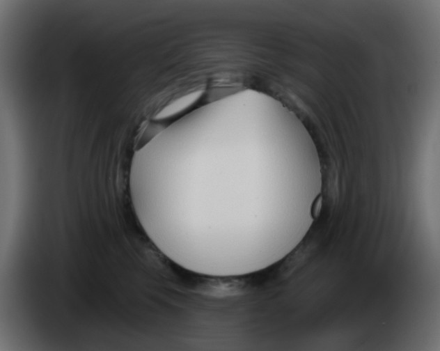 X0000086070569200704132043