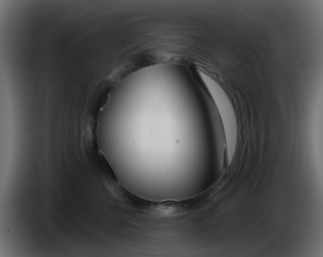 X0000086070570200704132043