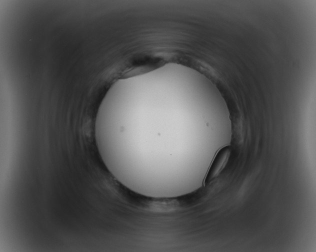 X0000086070571200704132043