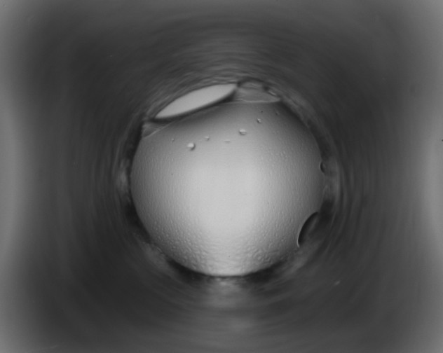 X0000086070573200704132043