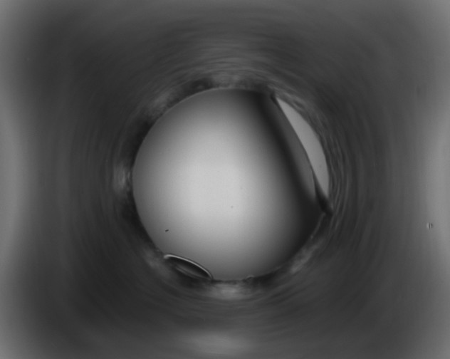 X0000086070574200704132043