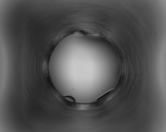 X0000086070575200704132043