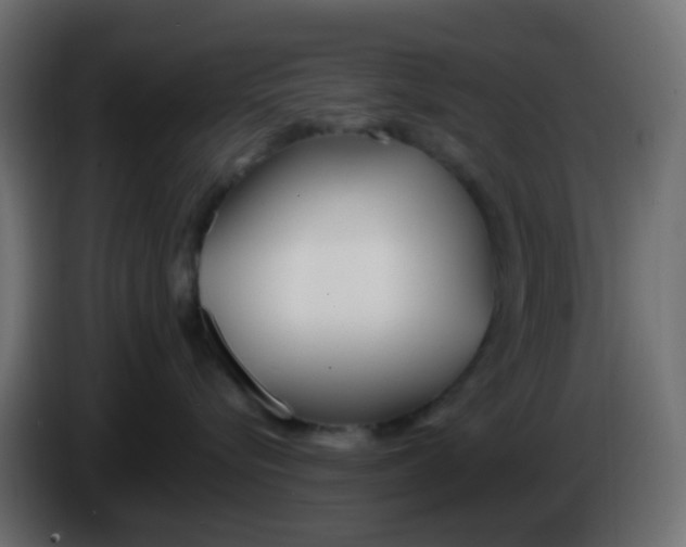 X0000086070576200704132043