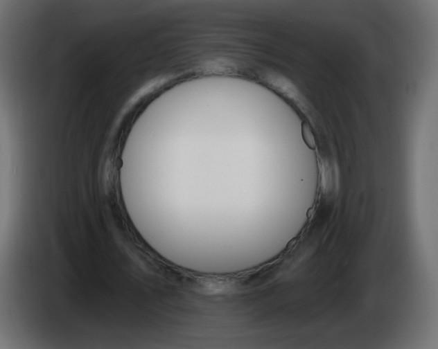 X0000086070579200704132042