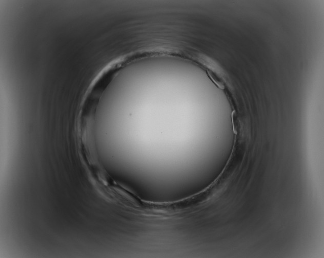 X0000086070580200704132042