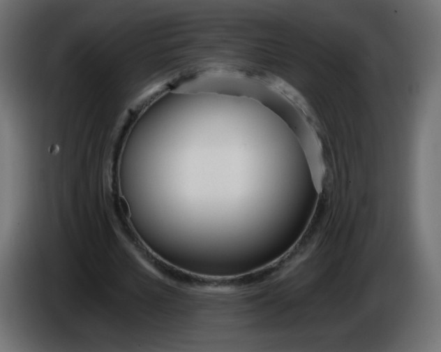 X0000086070581200704132042