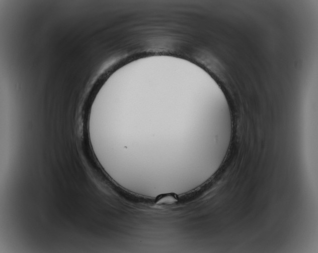 X0000086070584200704132042