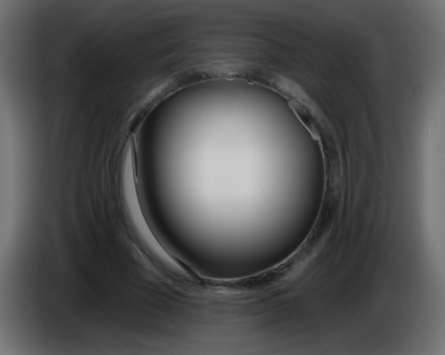 X0000086070585200704132042