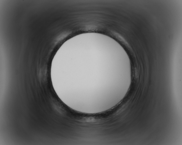 X0000086070588200704132042
