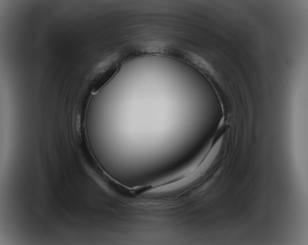 X0000086070589200704132042