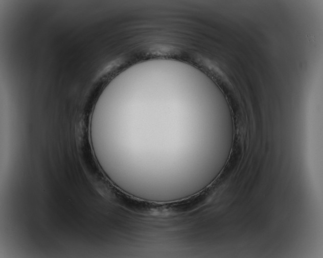 X0000086070591200704132042