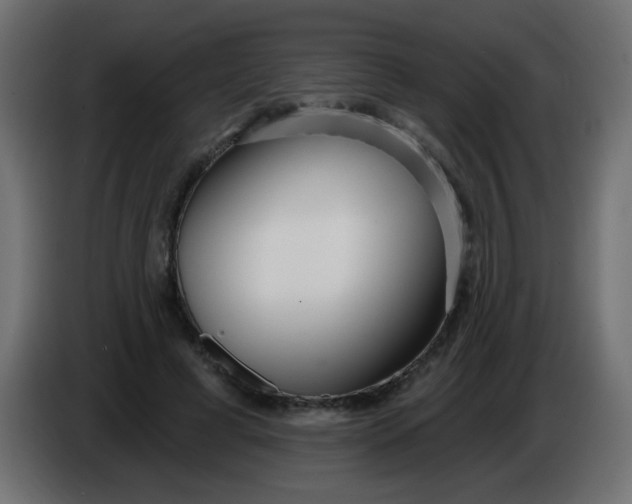 X0000086070593200704132042