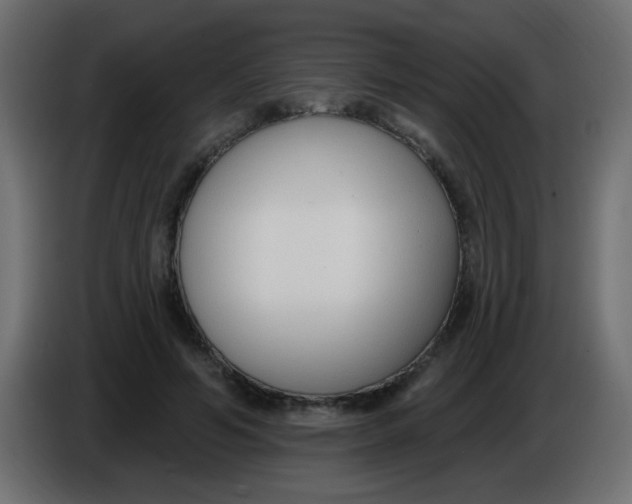 X0000086070594200704132042