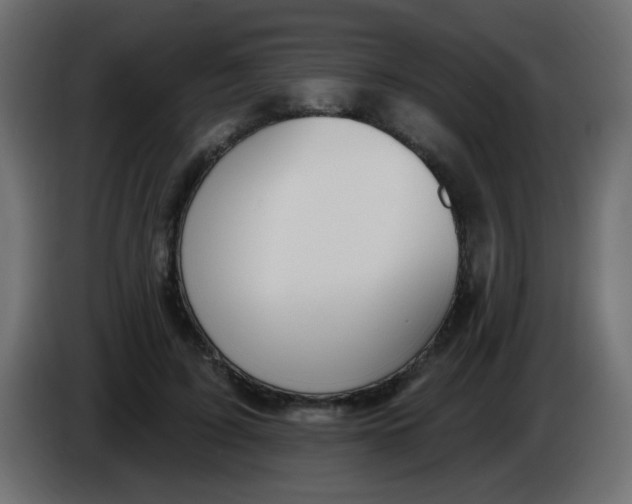 X0000086070595200704132042