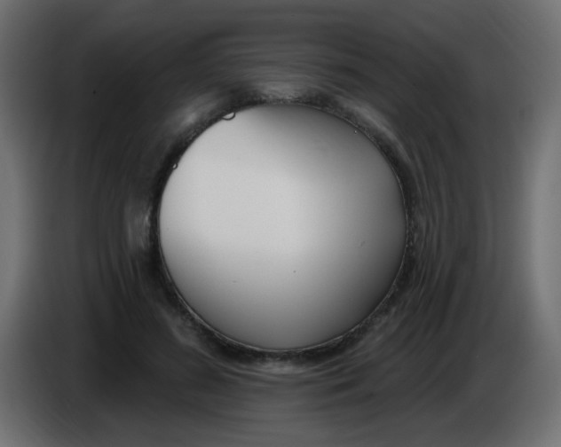 X0000086070596200704132042