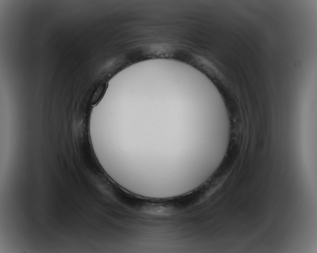 X0000086070597200704132042