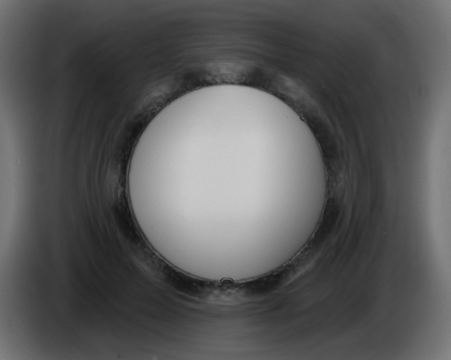 X0000086070599200704132042