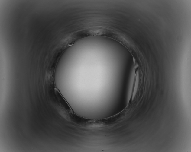 X0000086070601200704132042