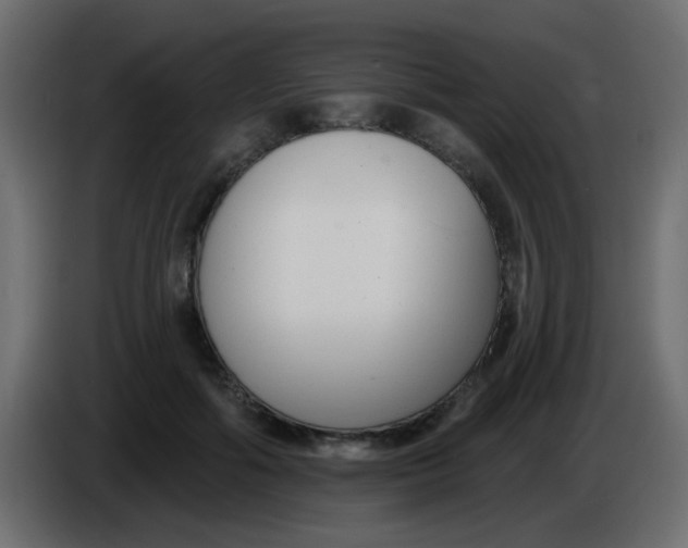 X0000086070602200704132042