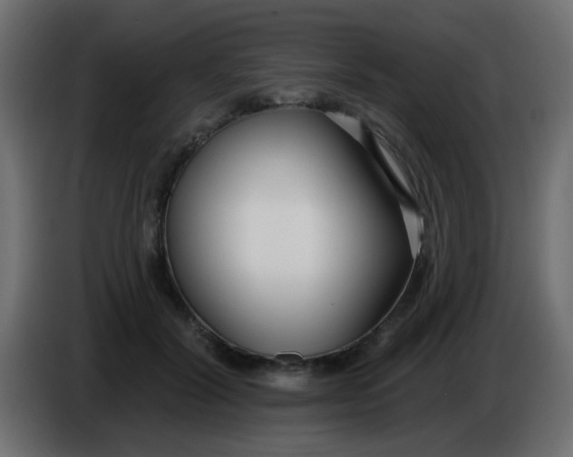 X0000086070604200704132042