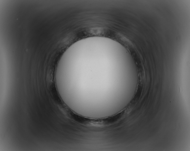 X0000086070606200704132042